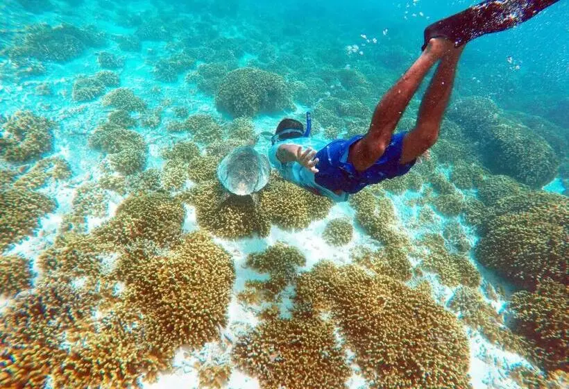 پانسیون Holiday Cottage Thoddoo, Maldives