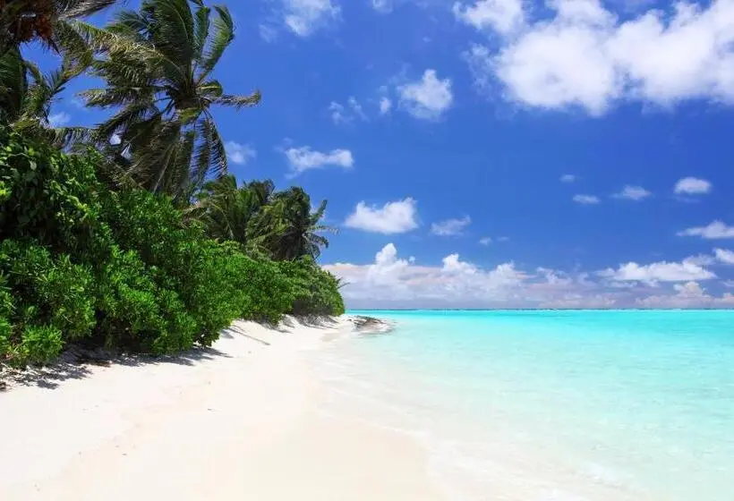 پانسیون Holiday Cottage Thoddoo, Maldives