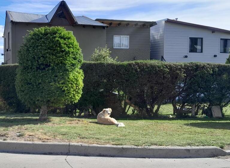 پانسیون The Blue Glacier