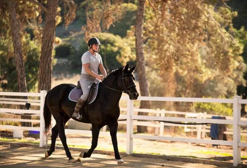 هتل Aphrodite Hills Rentals   Premium Serviced Apartments