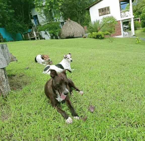 پانسیون Hostal Finca Palermo