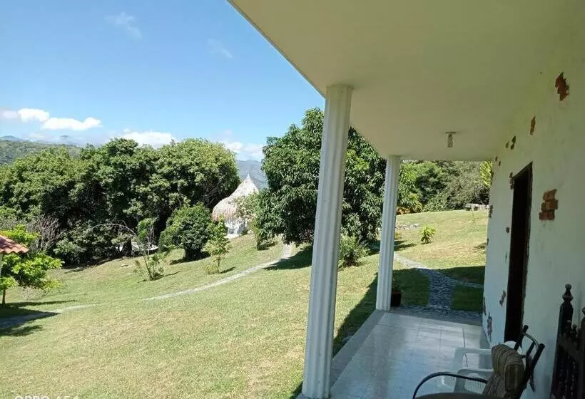 ペンション Hostal Finca Palermo