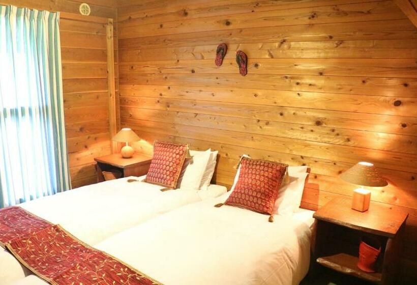 Albergue First Tracks Madarao