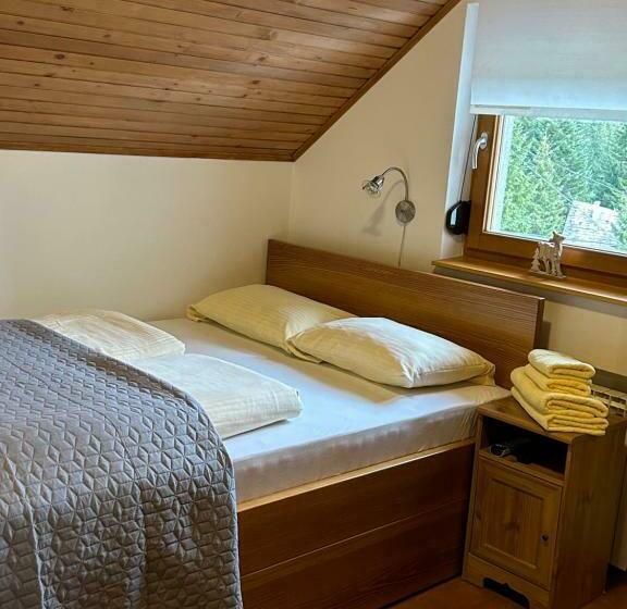 هاستل Guest House Alpha Ski Camp