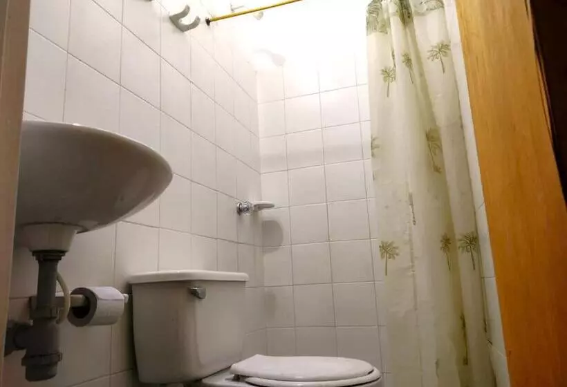 ユースホステル San Gil Nómada