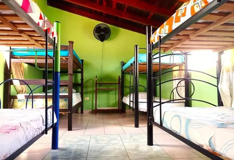 ユースホステル San Gil Nómada