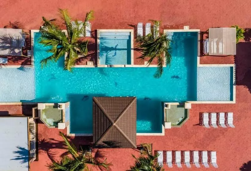 Aruba Condo The Pearl   At Eagle Beach   Minute Walk!