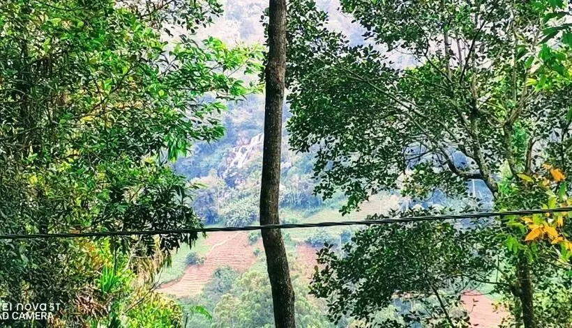 Aamiaismajoitus (B&B) Dulmini Homestay