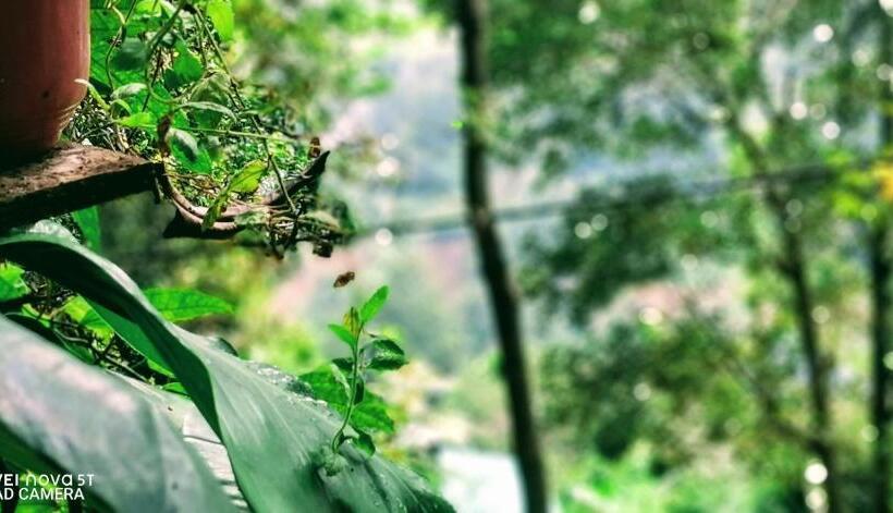 민박 Dulmini Homestay