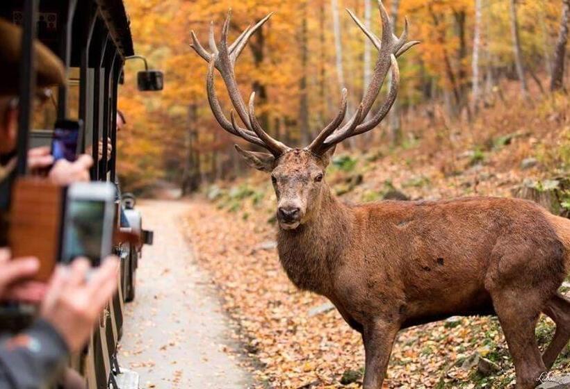 호텔 Au Sommet De La Cascade