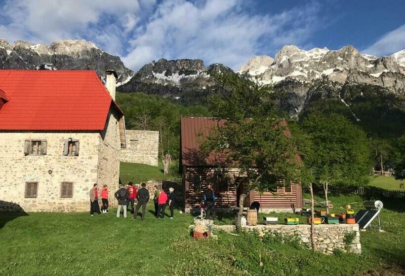 פנסיון Bujtina Terthorja