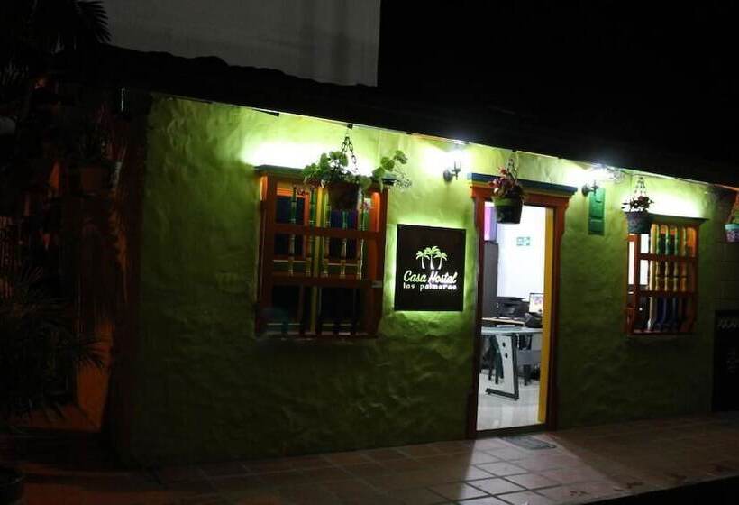 ペンション Casa Hostal Las Palmeras