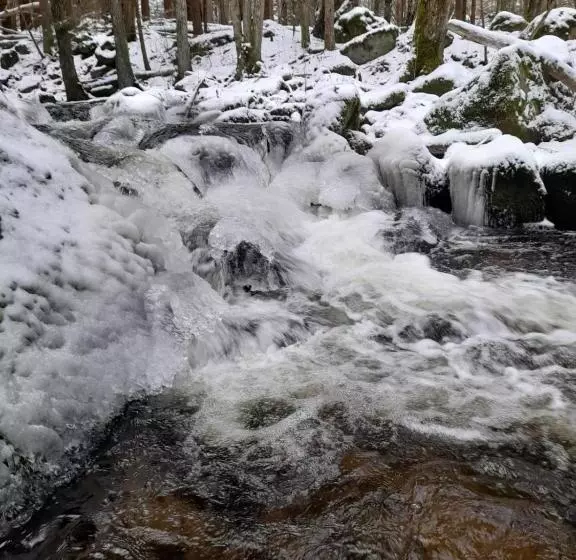 ペンション Penzion Romance