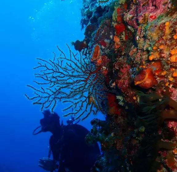 Qing Feng Diving B&b