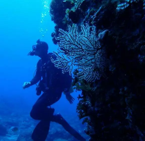 Qing Feng Diving B&b