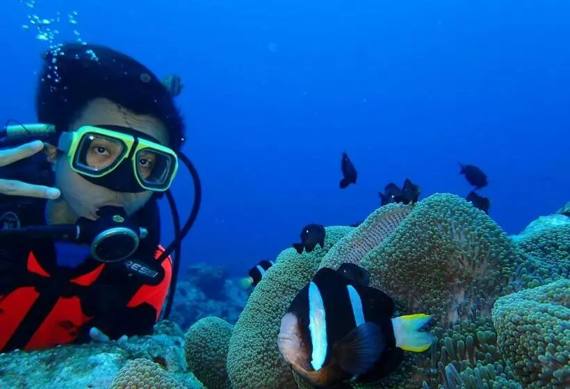 Qing Feng Diving B&b
