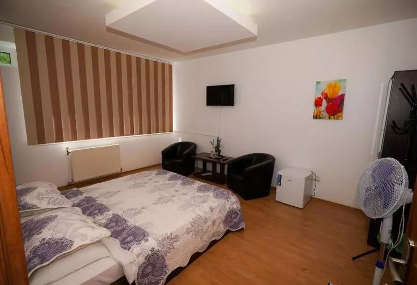 Hotelli Pensiunea Dolce