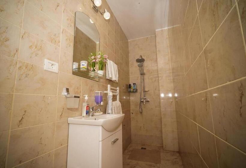 호텔 Pensiunea Dolce