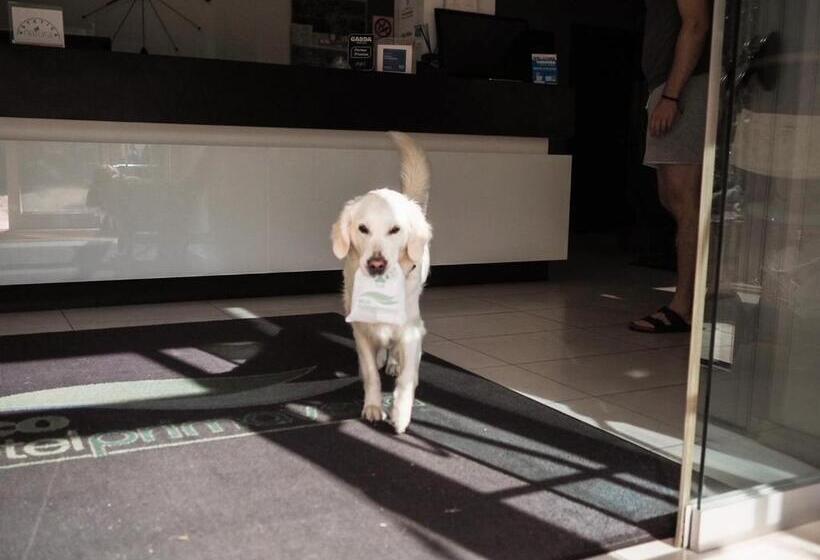 酒店 Primavera Apartmentsuites