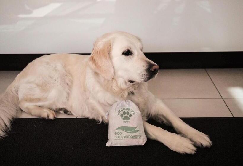 酒店 Primavera Apartmentsuites