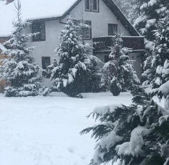 پانسیون Casa Codrin