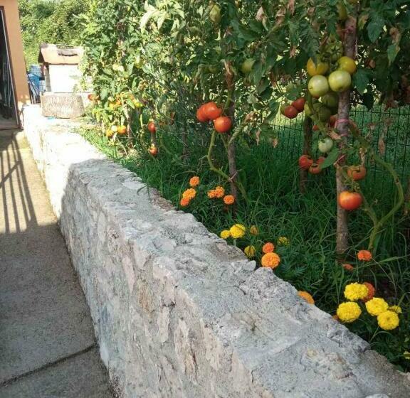 پانسیون Cicvaric Rooms