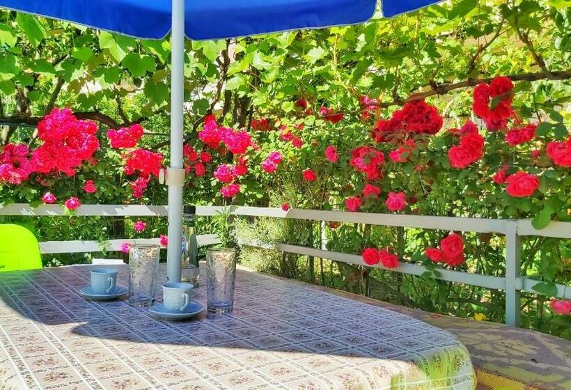 بنسيون Guest House Pogradeci