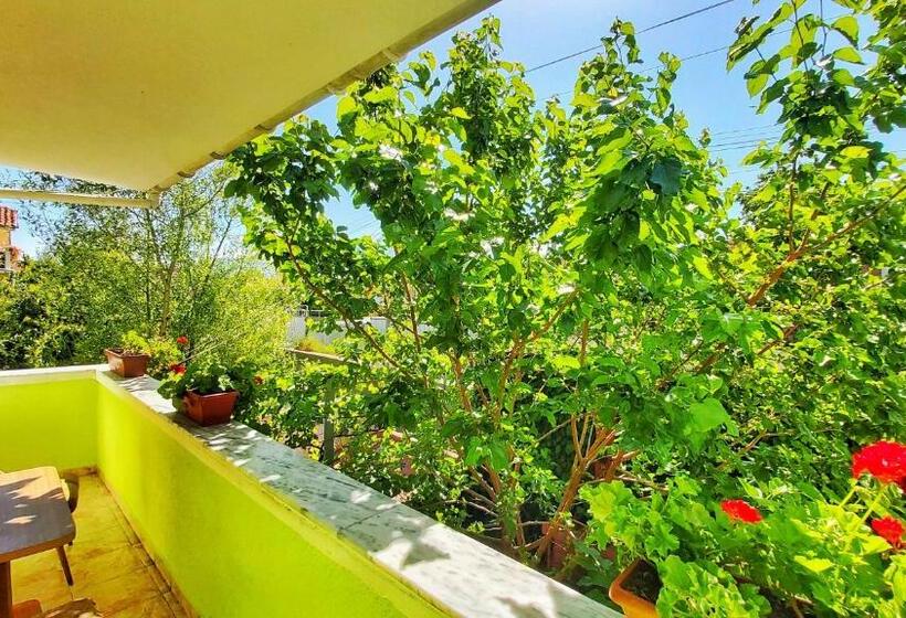 بنسيون Guest House Pogradeci