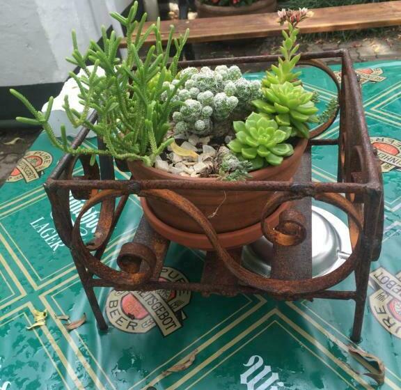 פנסיון Horse And Mill Guesthouse