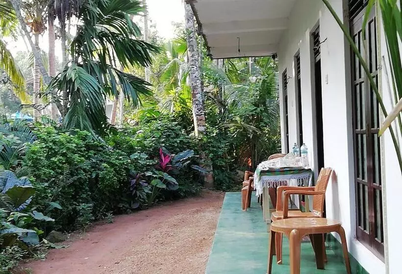 پانسیون Jungle Guest ,mirissa