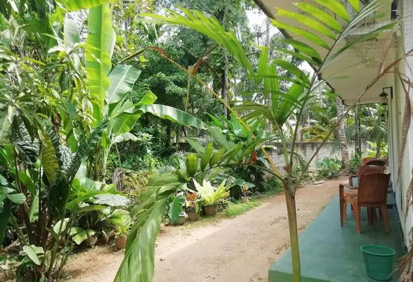 پانسیون Jungle Guest ,mirissa