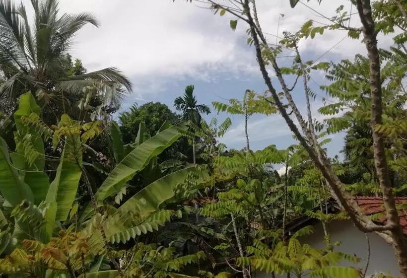 پانسیون Jungle Guest ,mirissa
