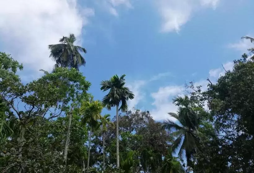 پانسیون Jungle Guest ,mirissa