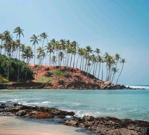 펜션 Jungle Guest ,mirissa