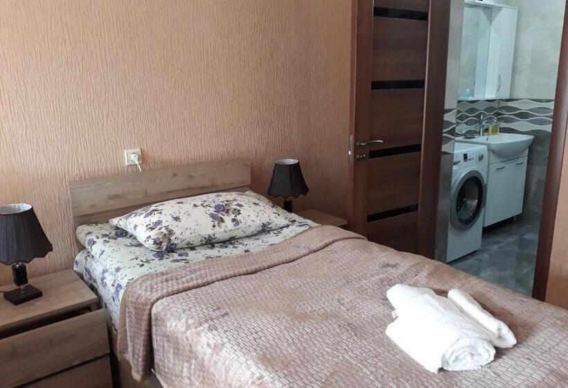 膳宿费 Kazbegi Guide