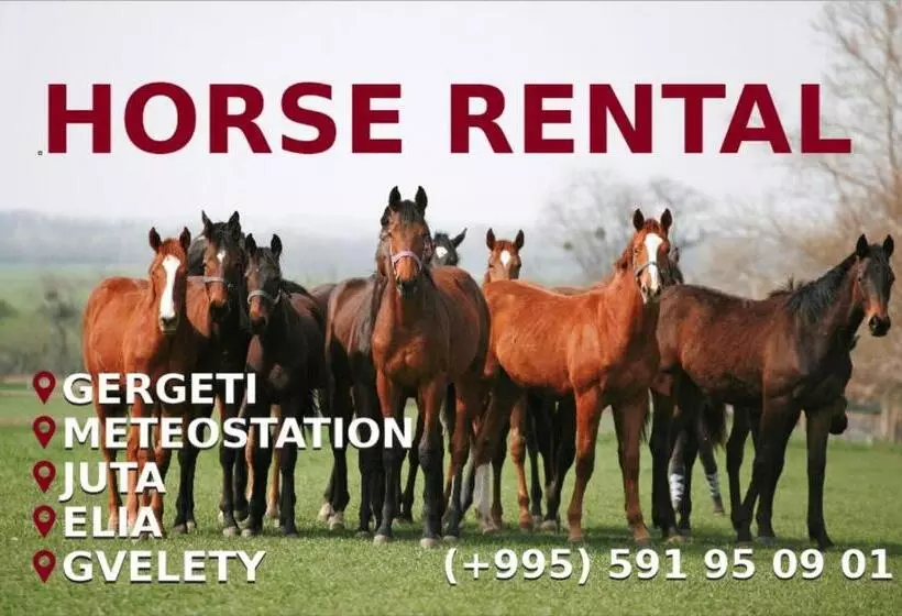 پانسیون Kazbegi Guide