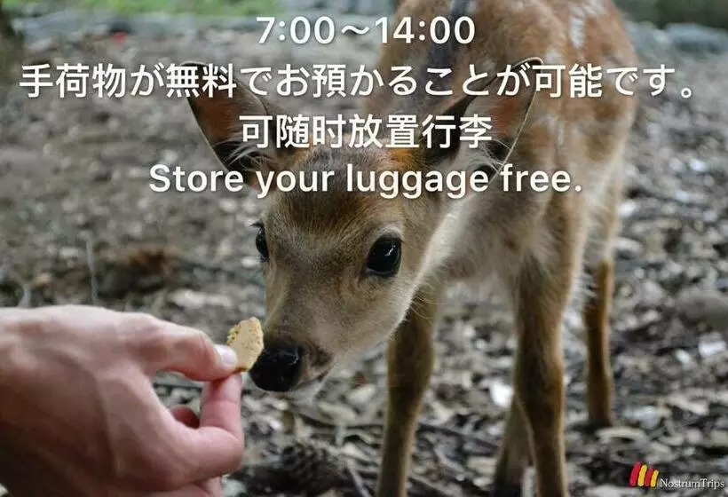 ペンション Mini Inn Nara    外国人向け   日本人予約不可