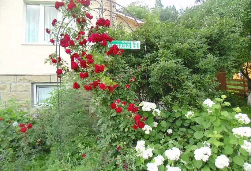 Majatalo Sadyba U Lesi