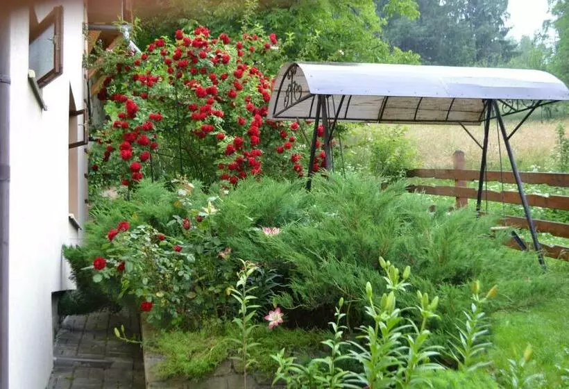 Majatalo Sadyba U Lesi