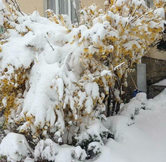 بنسيون Sadyba U Lesi