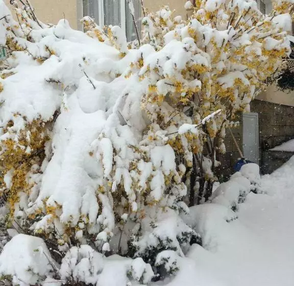 Majatalo Sadyba U Lesi