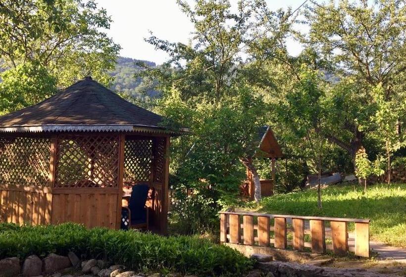 بنسيون Shepit Pruta