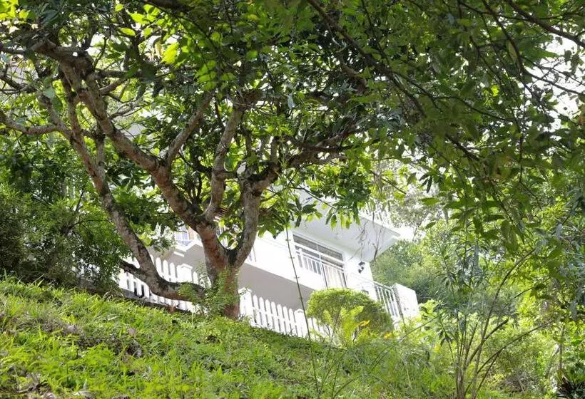 Pensió Villa Serene