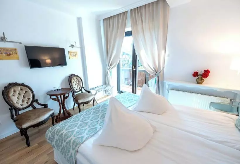 ペンション Casa Din Bran   Inn Center