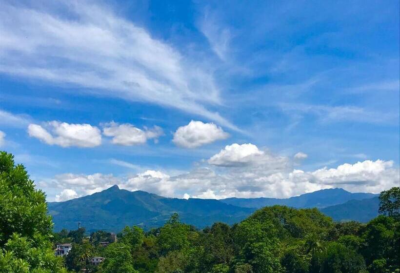 بنسيون Mount Haven