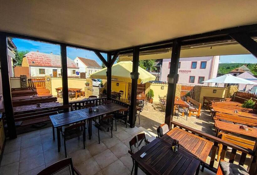 펜션 Penzion český Dvůr