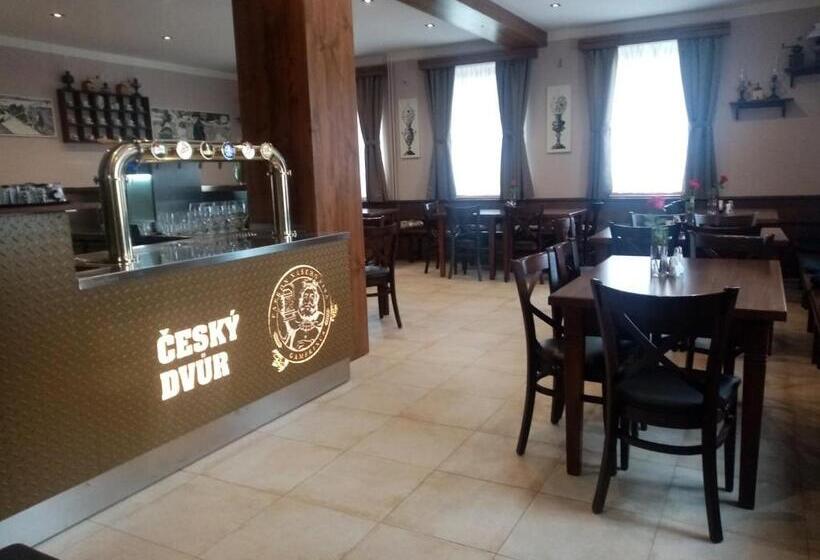 펜션 Penzion český Dvůr