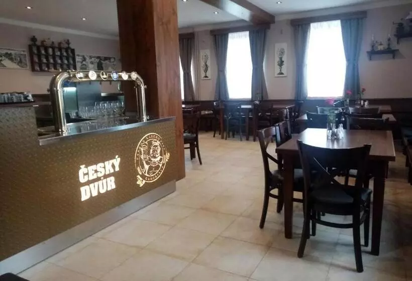 ペンション Penzion český Dvůr