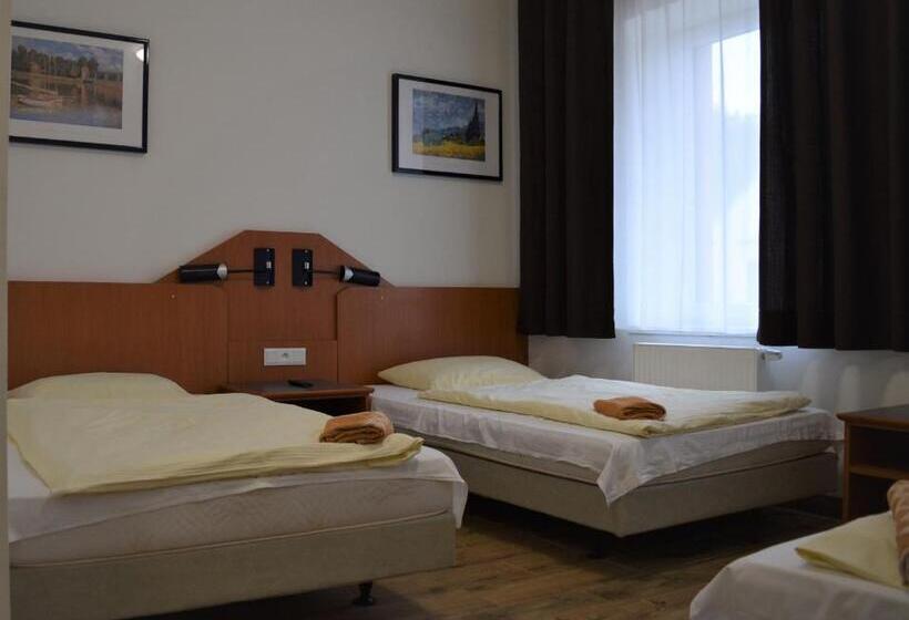 펜션 Penzion český Dvůr