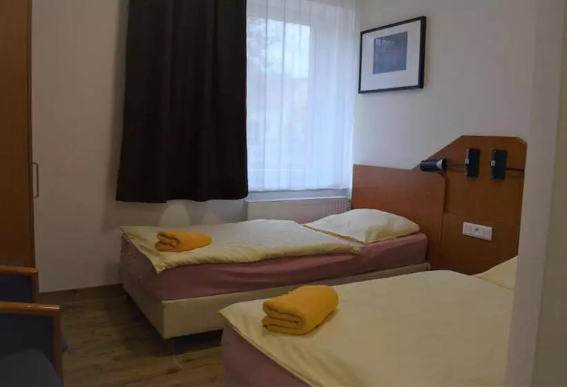 ペンション Penzion český Dvůr